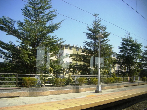 DSCF2063.JPG