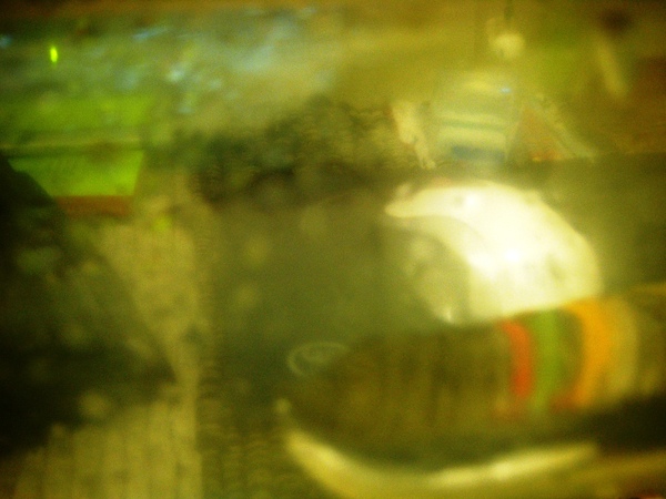 DSCF2300.JPG