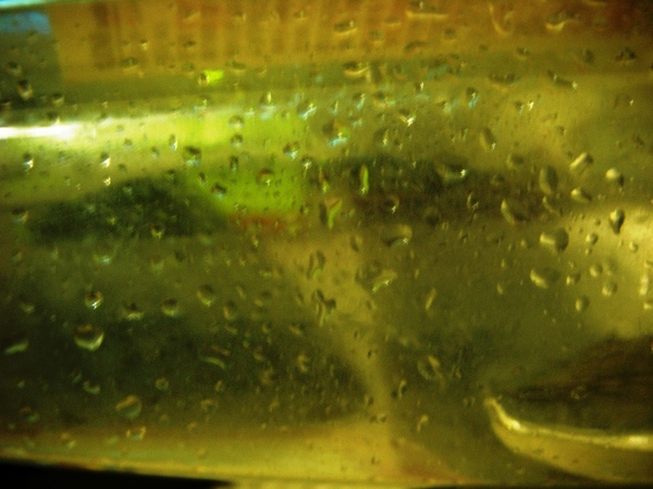 DSCF2302.JPG