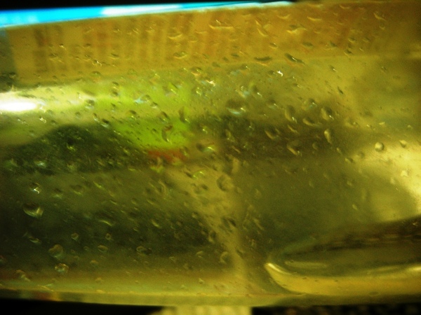 DSCF2303.JPG