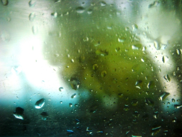 DSCF2306.JPG