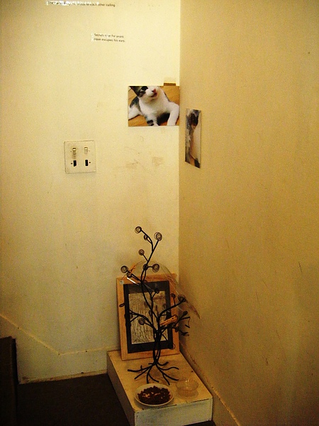 DSCF4836.JPG