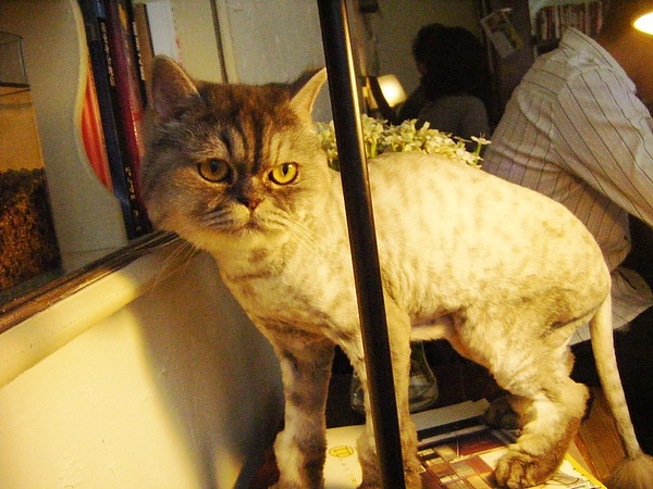 DSCF4814.JPG