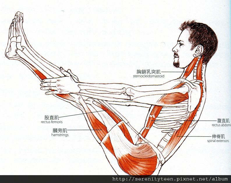 yoga (2).jpg yoga (2).jpg