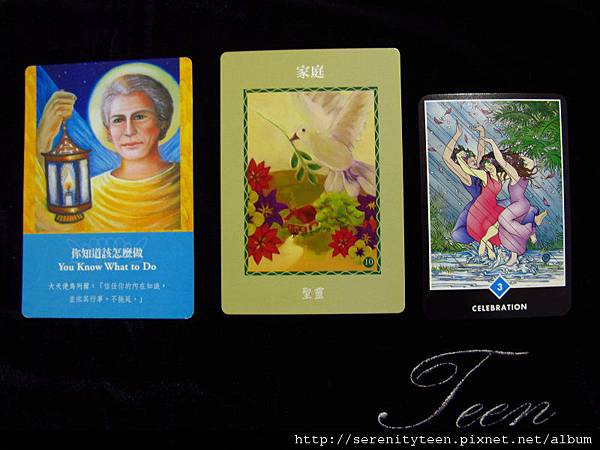 2013TriCard (2) 2013TriCard (2)