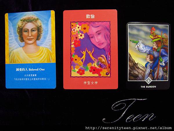 2013TriCard (4) 2013TriCard (4)