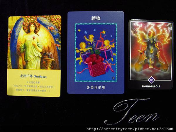 2013TriCard (9) 2013TriCard (9)
