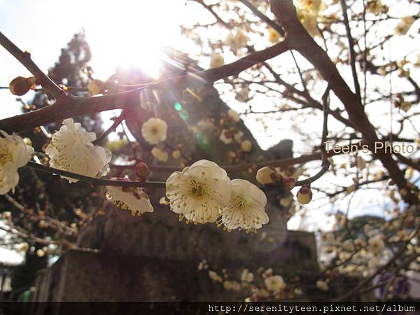 KYOTO (14).JPG