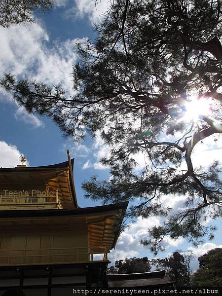 KYOTO (8).jpg KYOTO (8).jpg