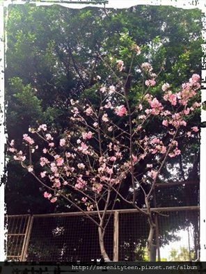 1559653_846633845374409_3146122607129137466_n.jpg 1559653_846633845374409_3146122607129137466_n.jpg