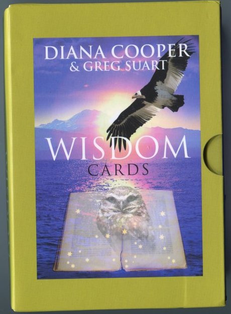 diana (7).jpg diana (7).jpg