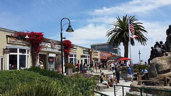 20140803_加州17mile drive part 1 04.jpg