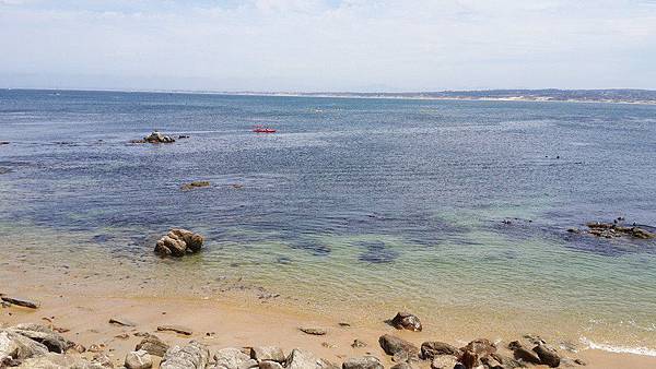 20140803_加州17mile drive part 1 13.jpg