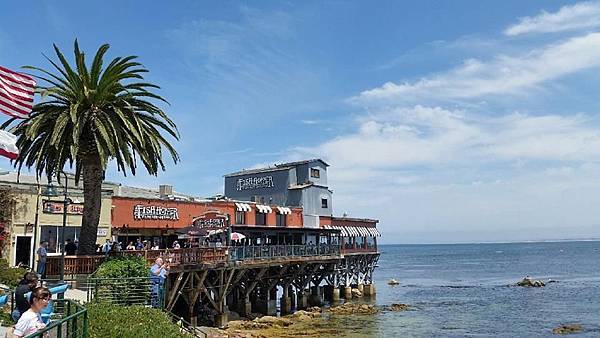 20140803_加州17mile drive part 1 26.jpg