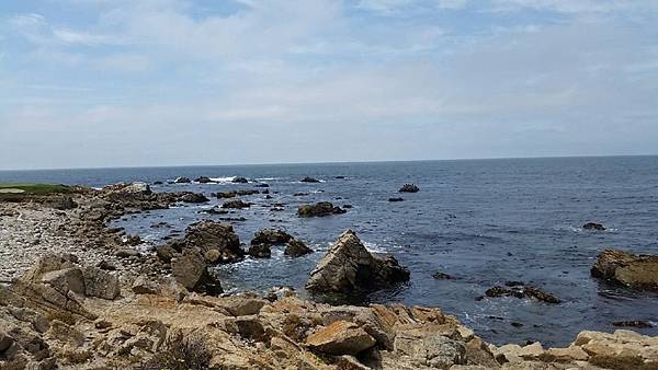 20140803_加州17mile drive part 1 31.jpg