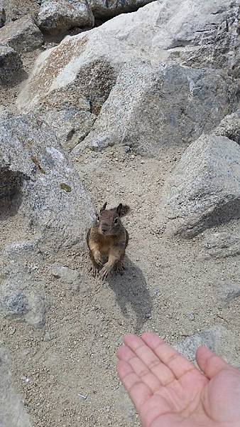 20140803_加州17mile drive part 1 44.jpg