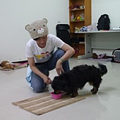 P1060276 P1060276