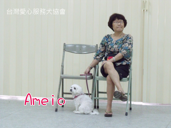 Ameio & Ameio 麻 拷貝.jpg