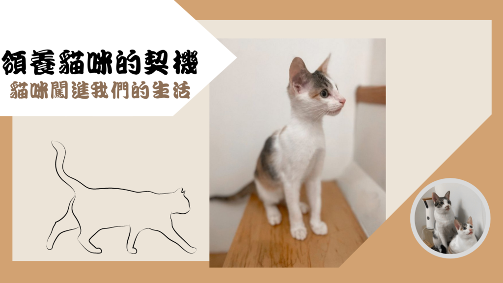 Brown, Beige and Grey Cute Pets Collection YouTube Thumbnail 的複本 的複本 (5)