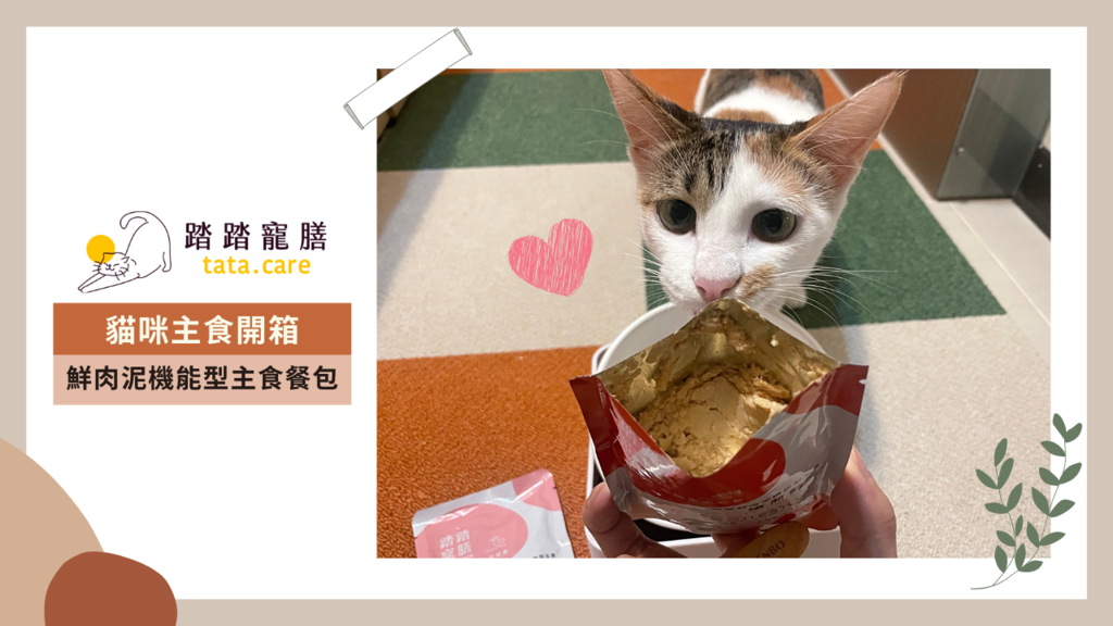 Brown, Beige and Grey Cute Pets Collection YouTube Thumbnail 的複本 的複本 (30).png