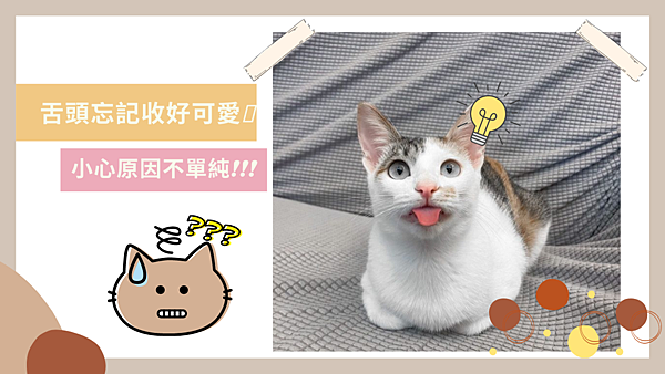 Brown, Beige and Grey Cute Pets Collection YouTube Thumbnail 的複本 的複本