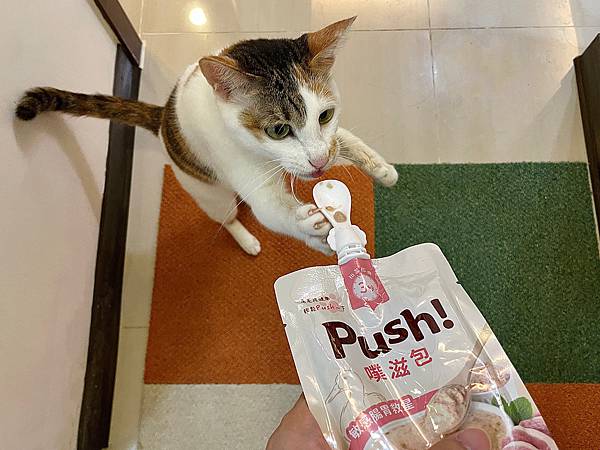 Push 噗滋包