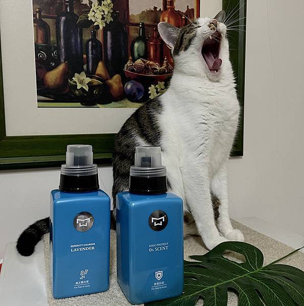 貓咪除臭,貓用除臭劑推薦,抗菌除臭噴霧