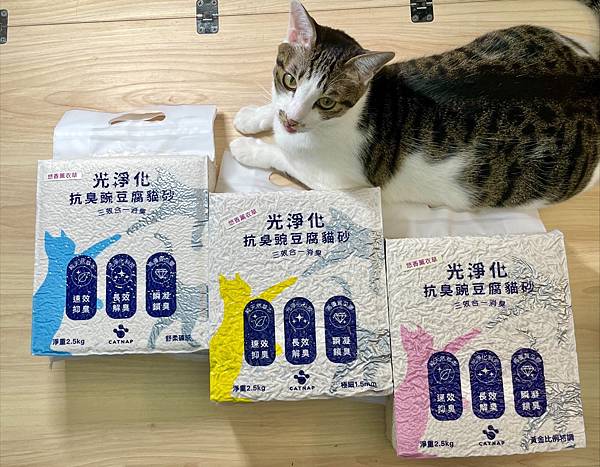 凱時寶寵 光淨化抗臭豌豆腐砂開箱