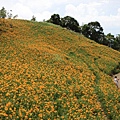 IMG_5250.JPG