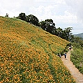 IMG_5253.JPG