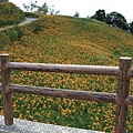 IMG_5261.JPG