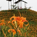 IMG_5288.JPG
