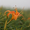 IMG_5306.JPG