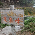 IMG_5311.JPG