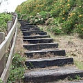 IMG_5312.JPG