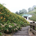 IMG_5314.JPG