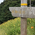 IMG_5336.JPG