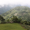 IMG_5339.JPG