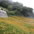 IMG_5343.JPG