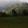IMG_5345.JPG