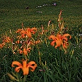 IMG_5347.JPG