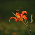 IMG_5353.JPG