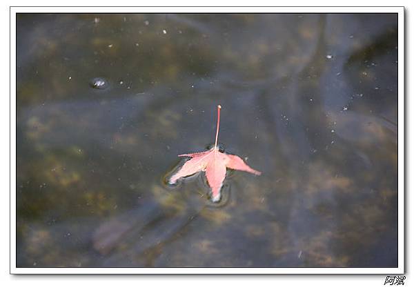 IMG_0425 IMG_0425