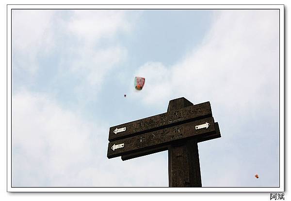 IMG_1446 IMG_1446