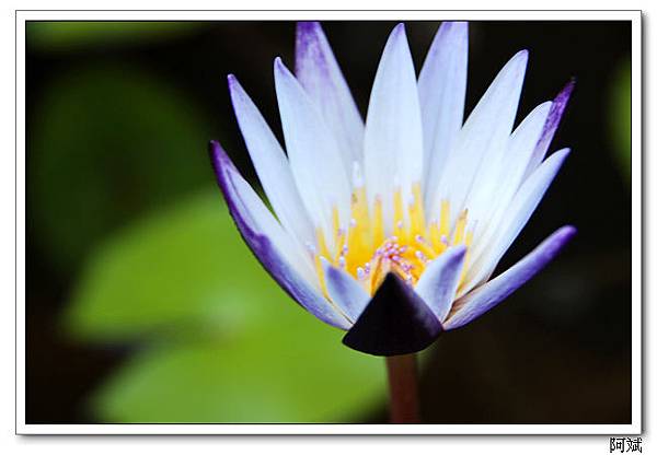 IMG_3995 IMG_3995