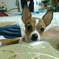 DSC02958.JPG