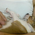 DSC01892.JPG