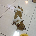 DSC02951.JPG
