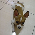 DSC02952.JPG