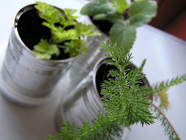 herb planters 1